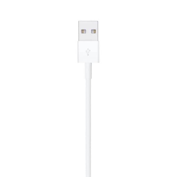 Apple Lightning to USB Cable 1M